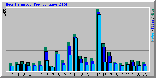 Hourly usage for January 2008